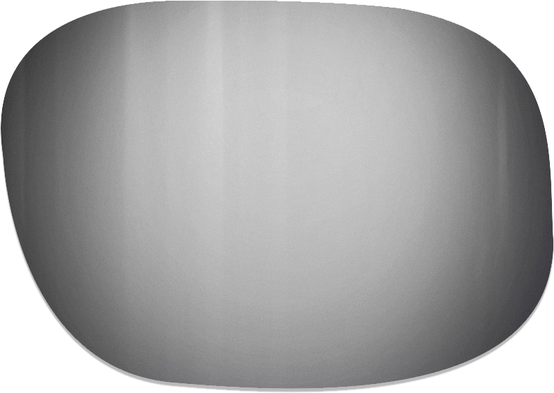 Spectron 3 Polarized Gris